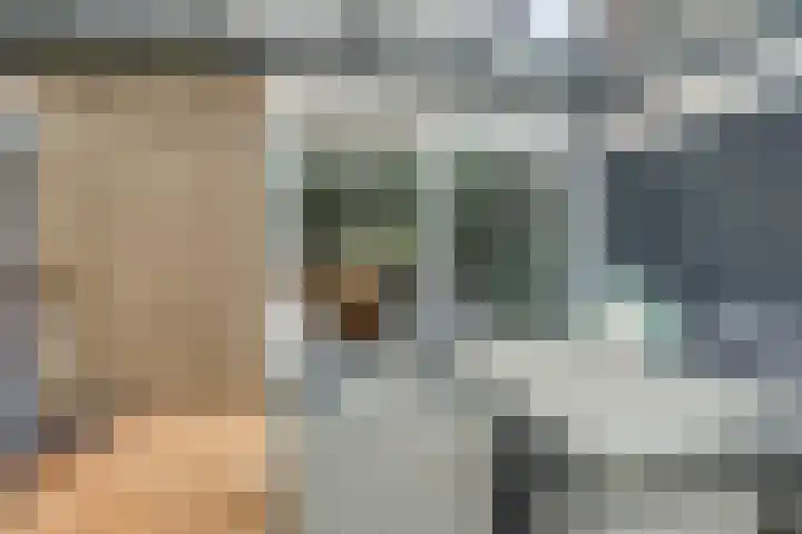 Rode Zee 46 Zaandam thumbnail 16