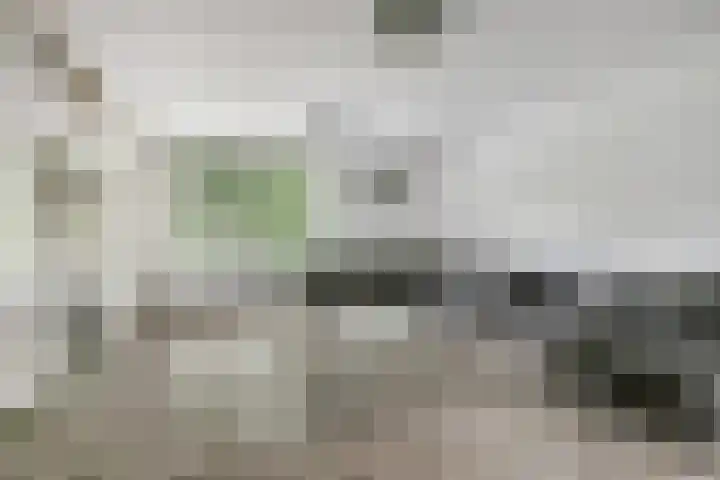 Rode Zee 46 Zaandam thumbnail 19