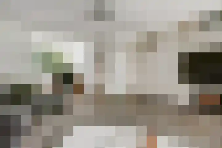 Rode Zee 46 Zaandam thumbnail 21