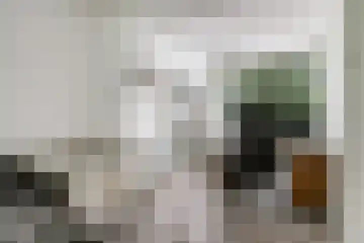 Rode Zee 46 Zaandam thumbnail 22
