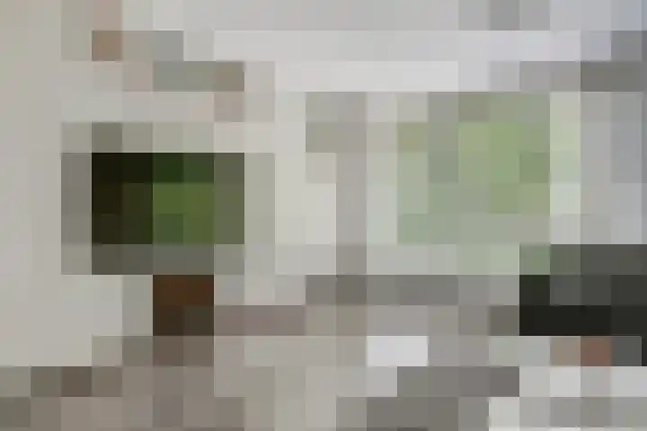 Rode Zee 46 Zaandam thumbnail 23