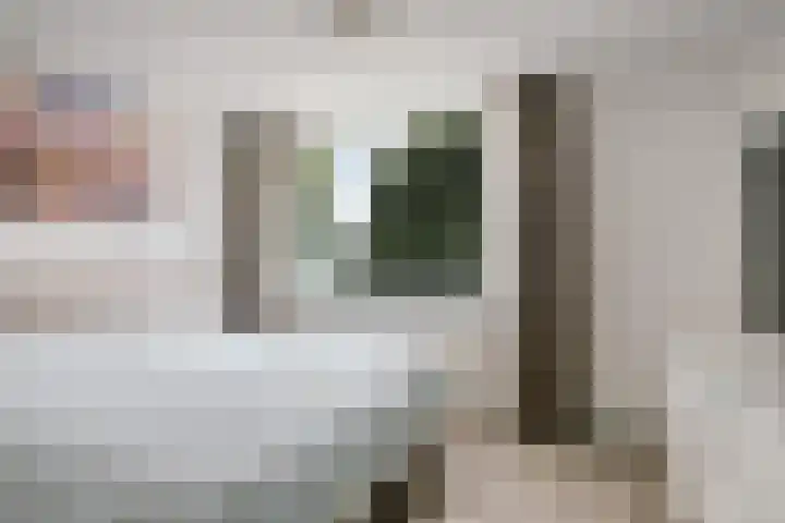 Rode Zee 46 Zaandam thumbnail 29