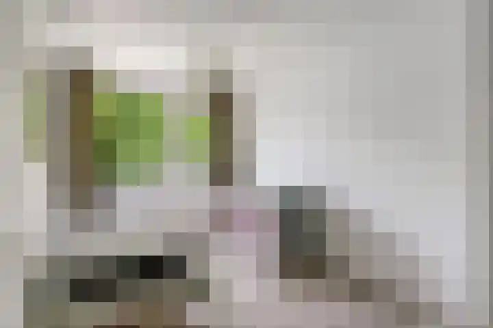 Rode Zee 46 Zaandam thumbnail 31