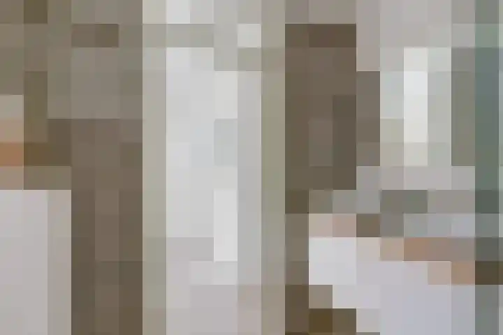 Rode Zee 46 Zaandam thumbnail 36