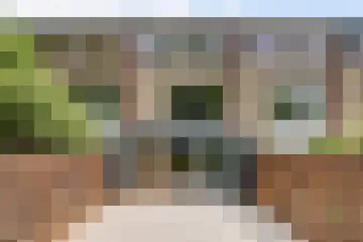 Rode Zee 46 Zaandam thumbnail 41