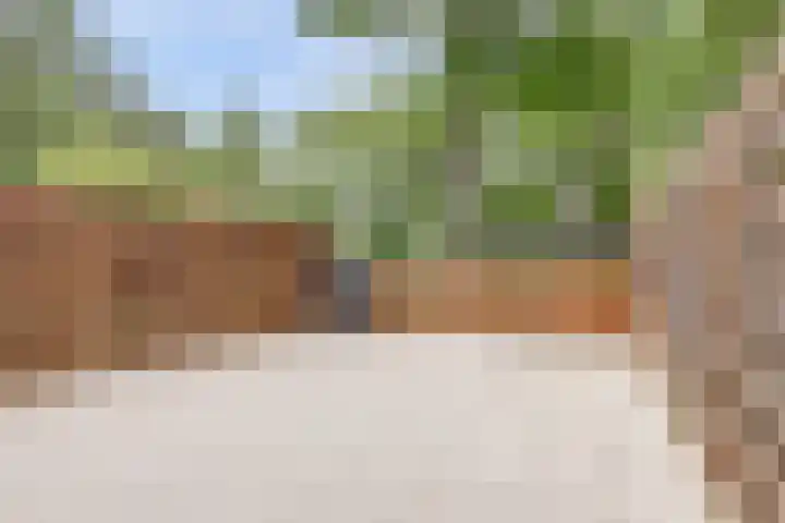 Rode Zee 46 Zaandam thumbnail 42