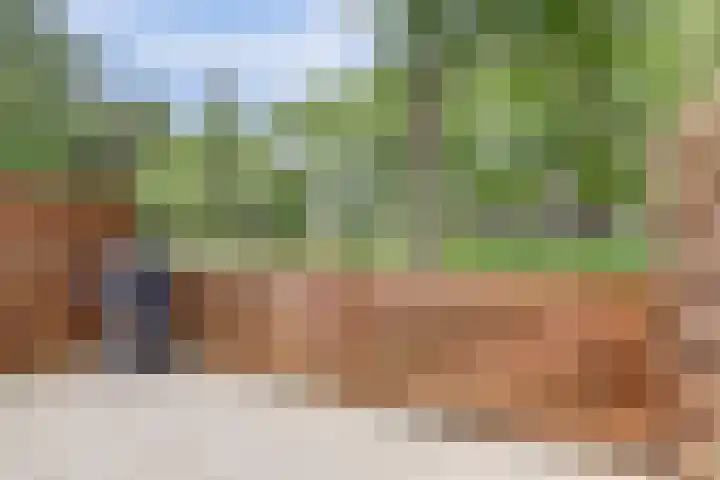 Rode Zee 46 Zaandam thumbnail 43