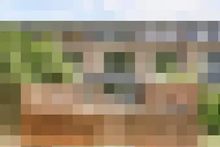 Rode Zee 46 Zaandam thumbnail 44