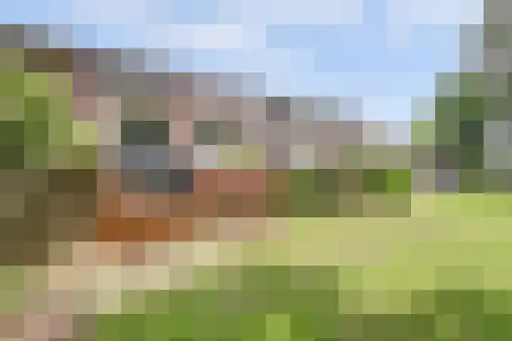Rode Zee 46 Zaandam thumbnail 46