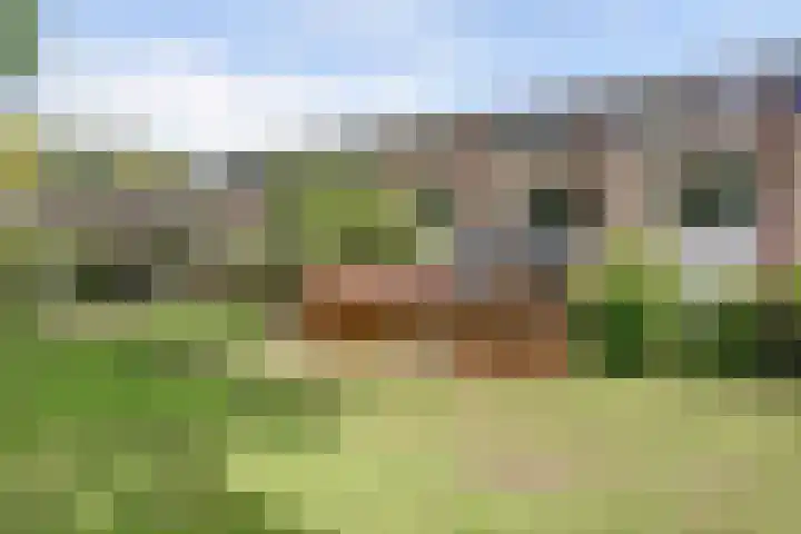 Rode Zee 46 Zaandam thumbnail 47
