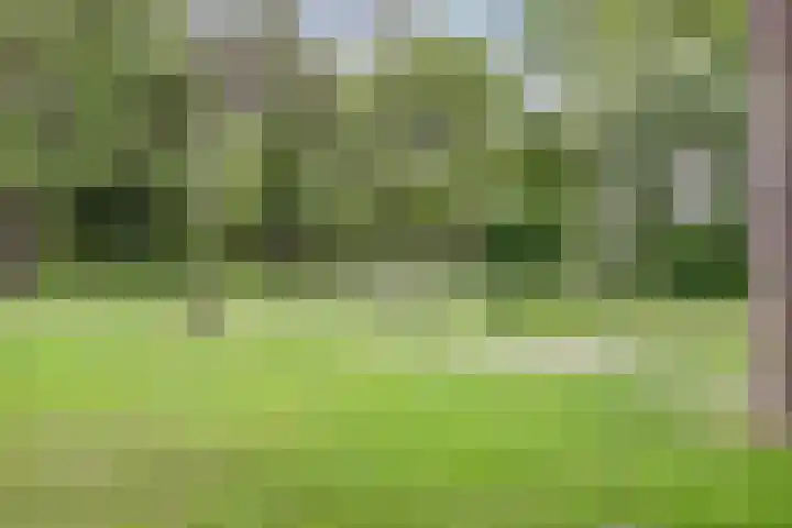 Rode Zee 46 Zaandam thumbnail 49