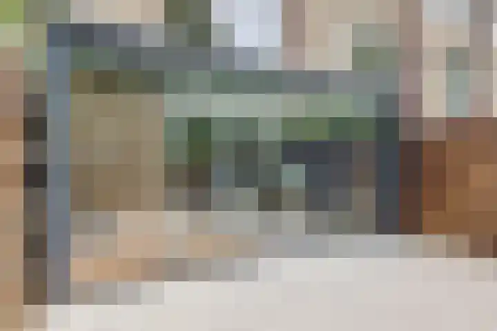 Rode Zee 46 Zaandam thumbnail 5