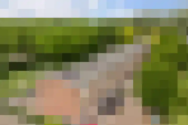 Rode Zee 46 Zaandam thumbnail 50