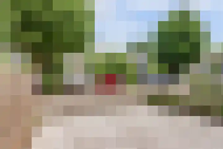 Rode Zee 46 Zaandam thumbnail 51