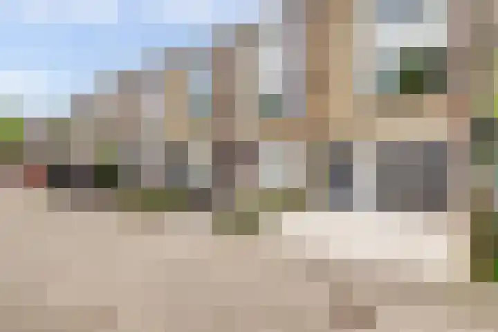 Rode Zee 46 Zaandam thumbnail 54