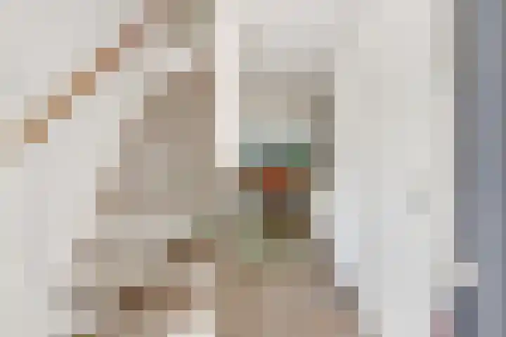 Rode Zee 46 Zaandam thumbnail 7