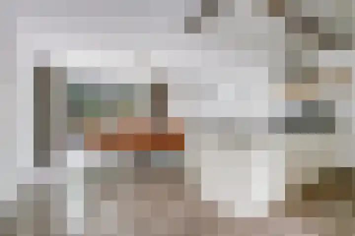Rode Zee 46 Zaandam thumbnail 8