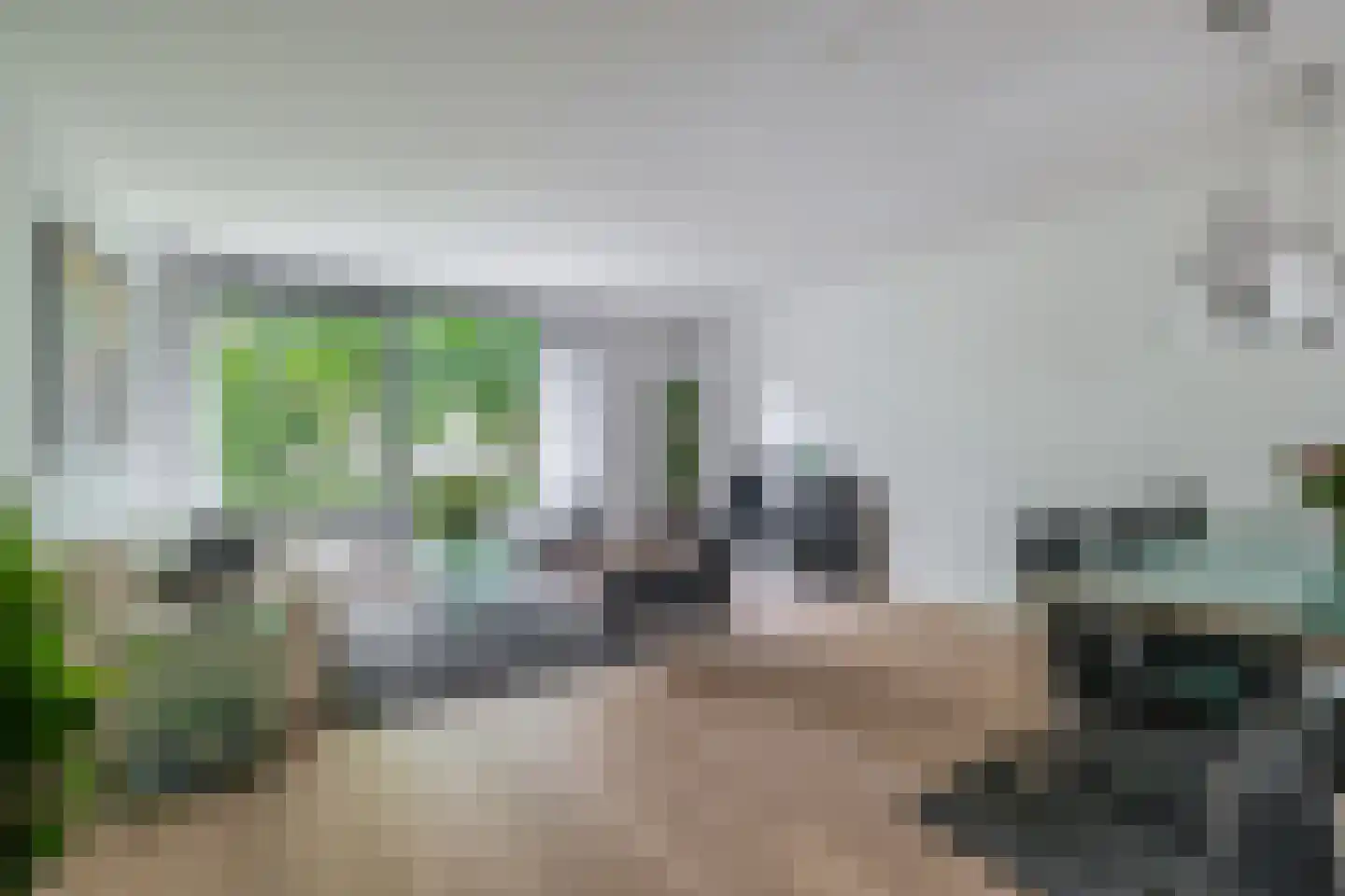 Rode Zee 49 Zaandam thumbnail 11
