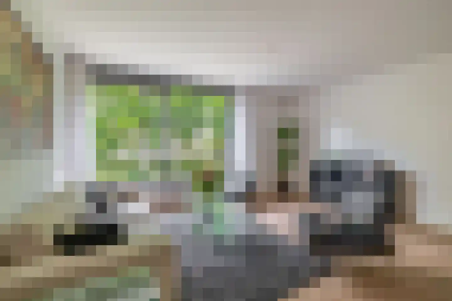 Rode Zee 49 Zaandam thumbnail 12
