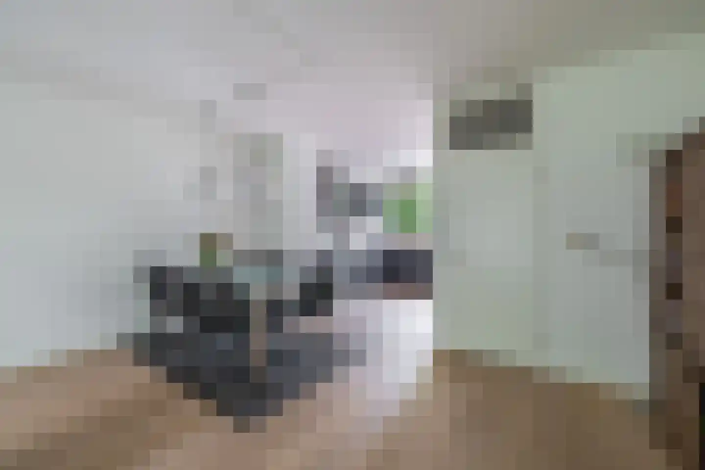 Rode Zee 49 Zaandam thumbnail 16