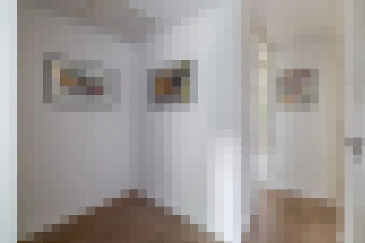 Rode Zee 49 Zaandam thumbnail 21