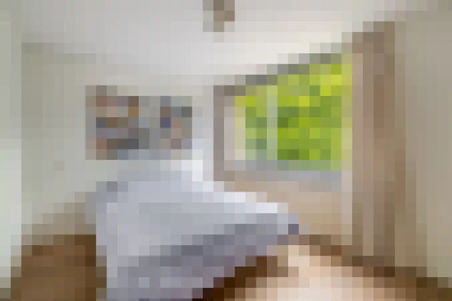Rode Zee 49 Zaandam thumbnail 25
