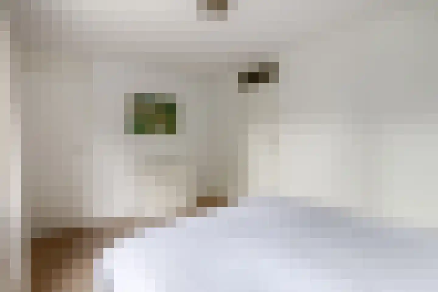 Rode Zee 49 Zaandam thumbnail 26