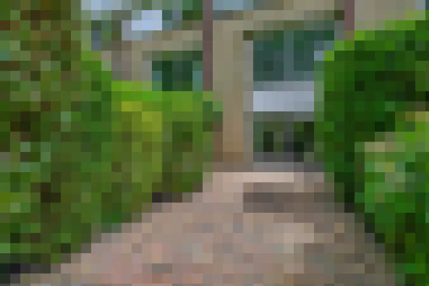 Rode Zee 49 Zaandam thumbnail 31