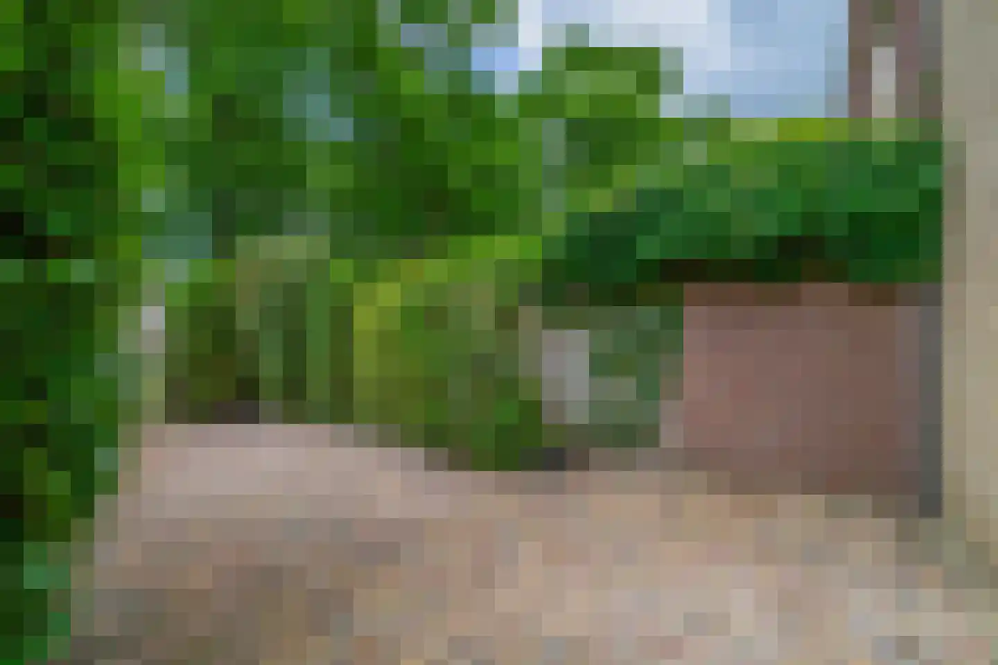 Rode Zee 49 Zaandam thumbnail 33
