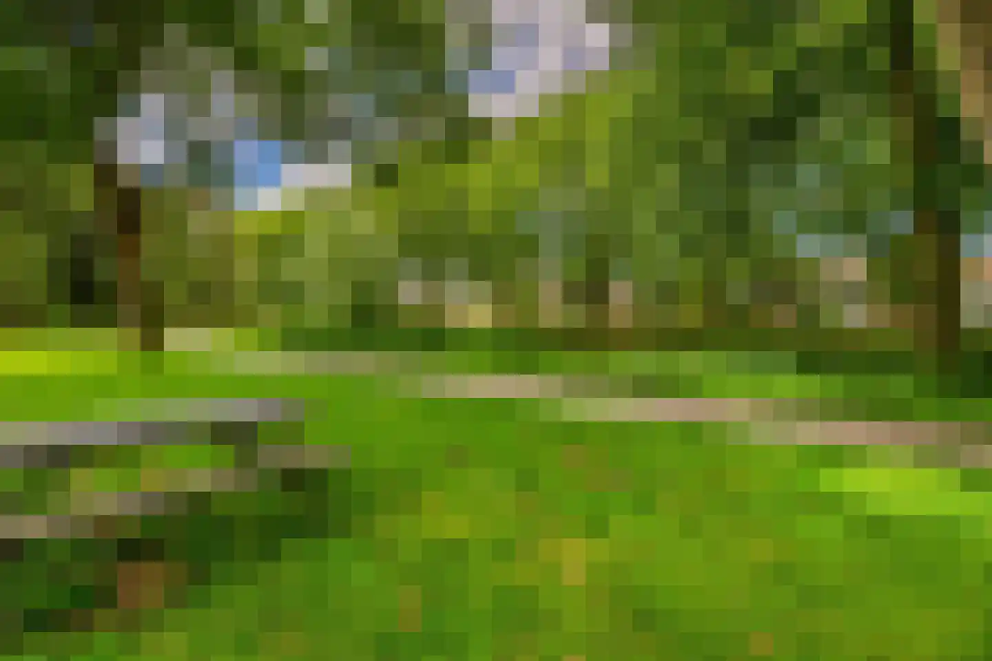 Rode Zee 49 Zaandam thumbnail 34