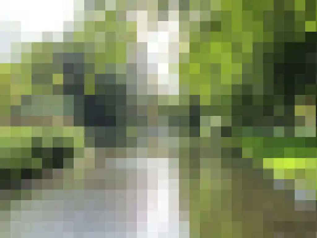 Rode Zee 49 Zaandam thumbnail 38