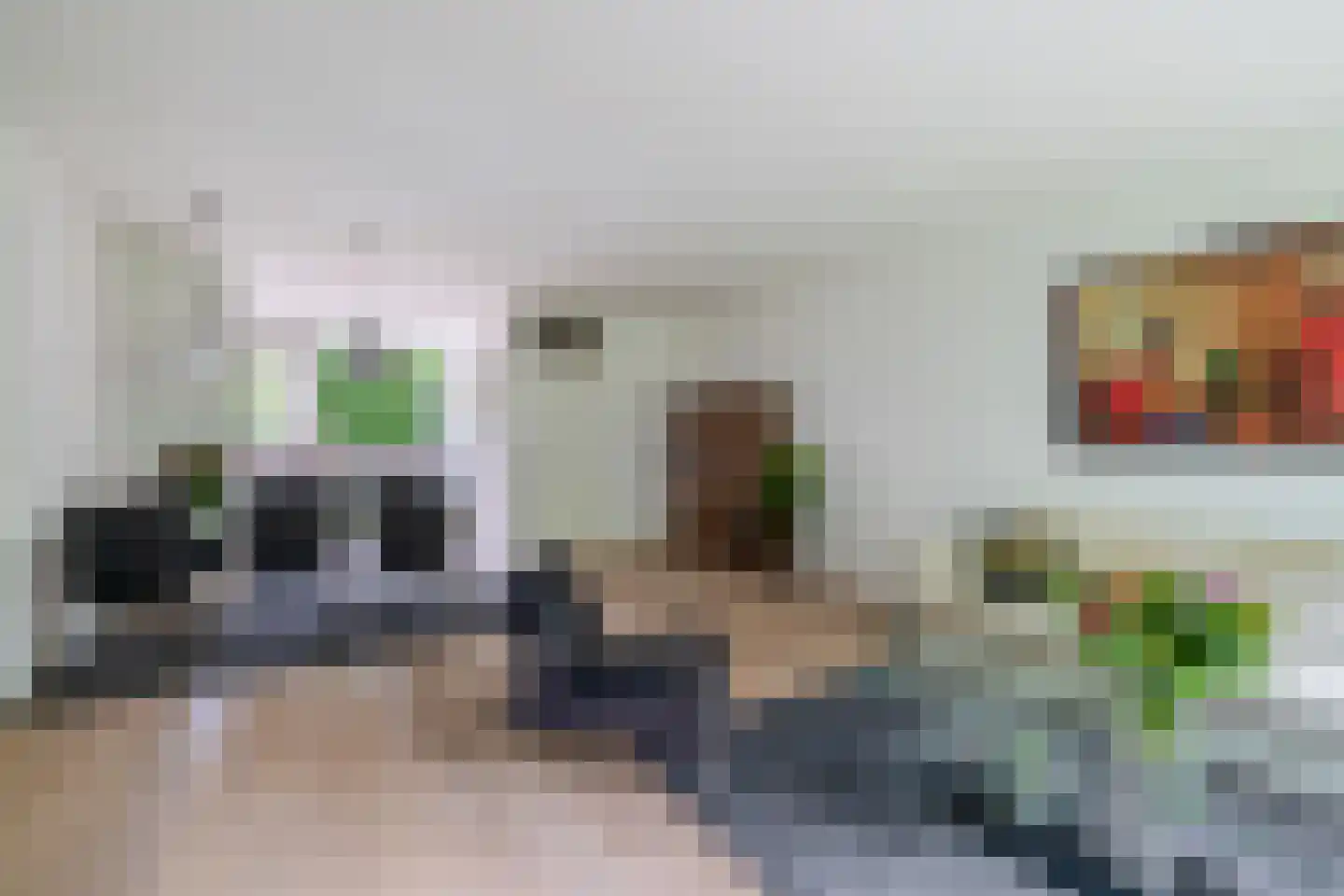 Rode Zee 49 Zaandam thumbnail 4