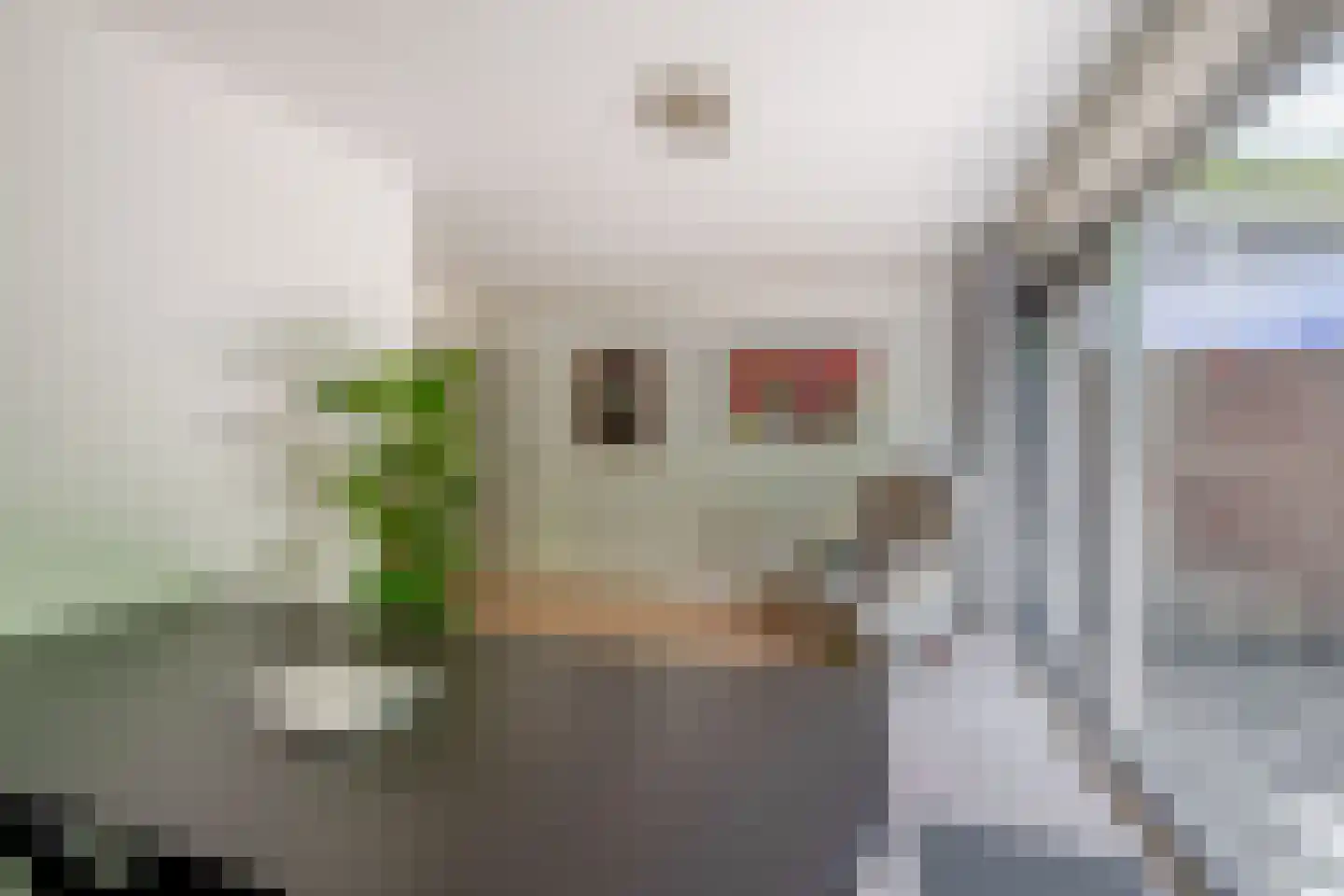 Rode Zee 49 Zaandam thumbnail 7