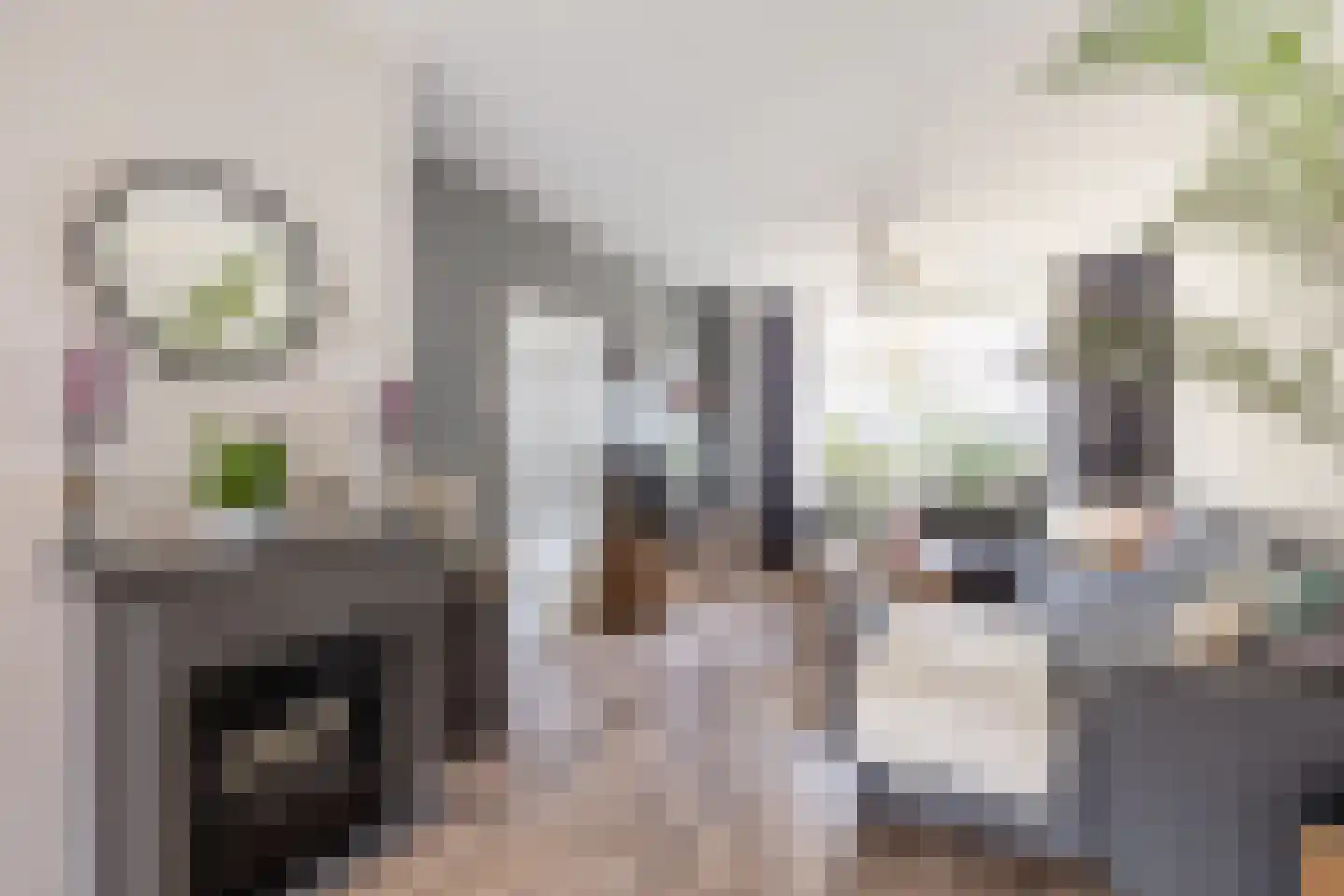 Rode Zee 9 Zaandam thumbnail 11