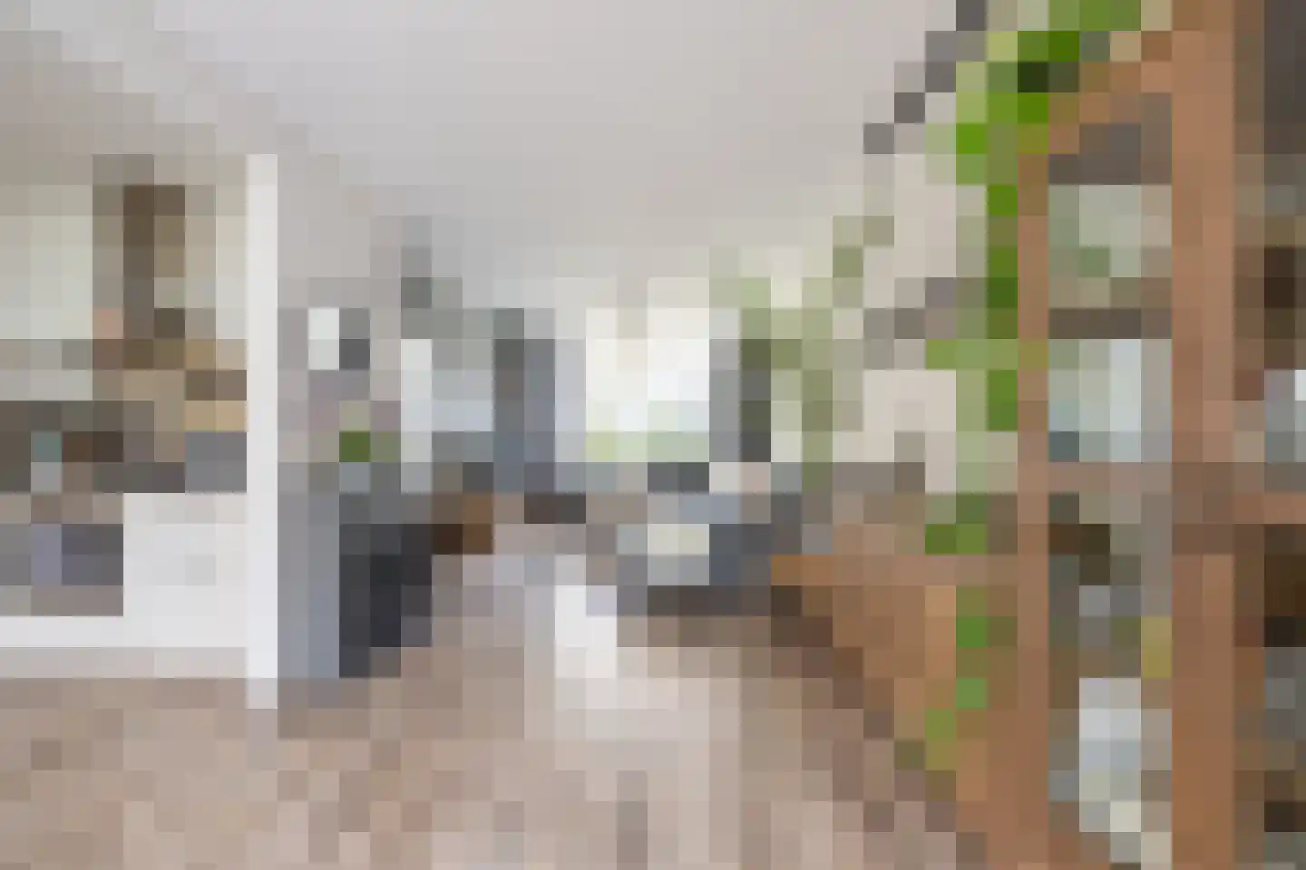 Rode Zee 9 Zaandam thumbnail 12