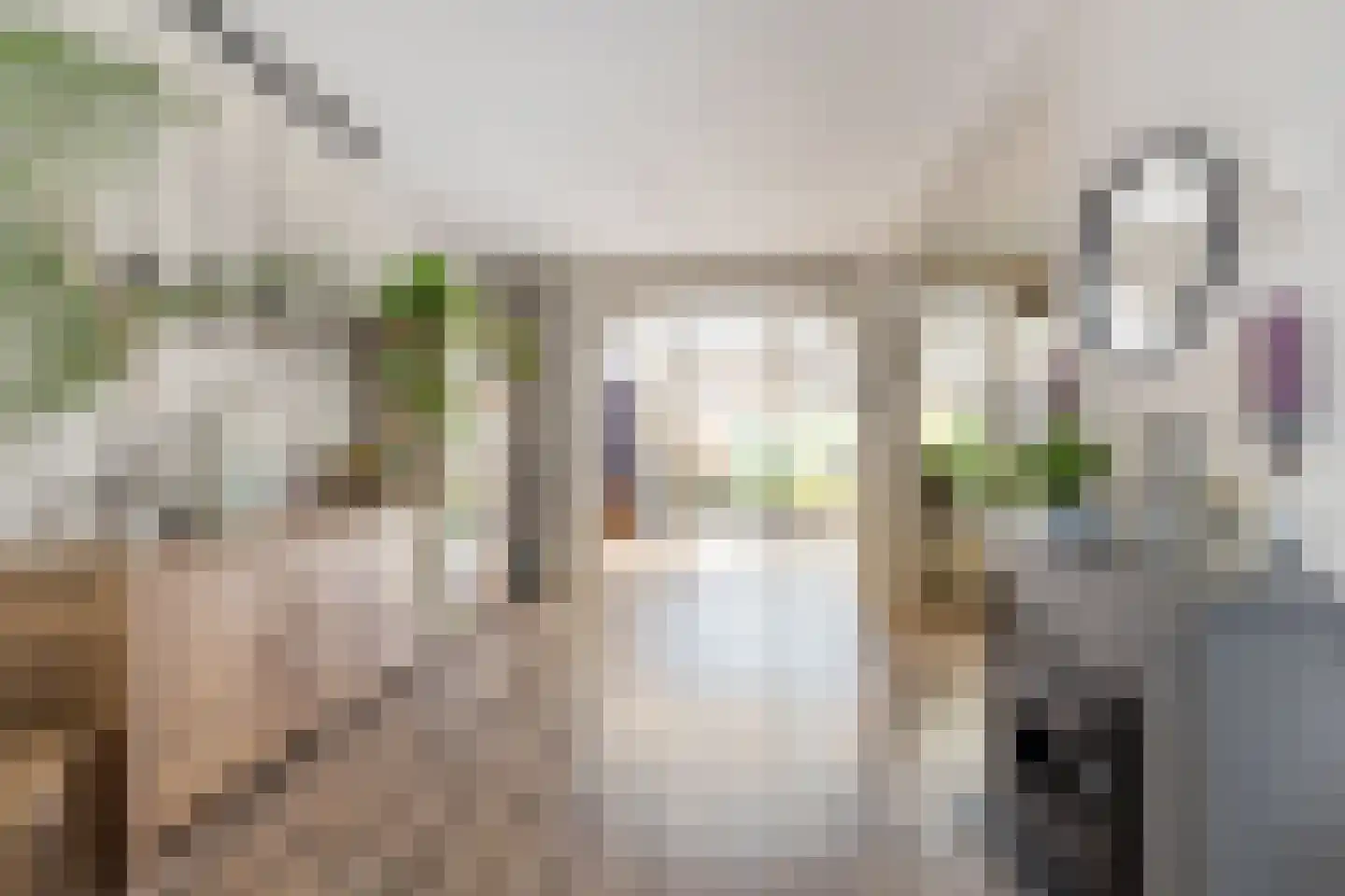 Rode Zee 9 Zaandam thumbnail 13