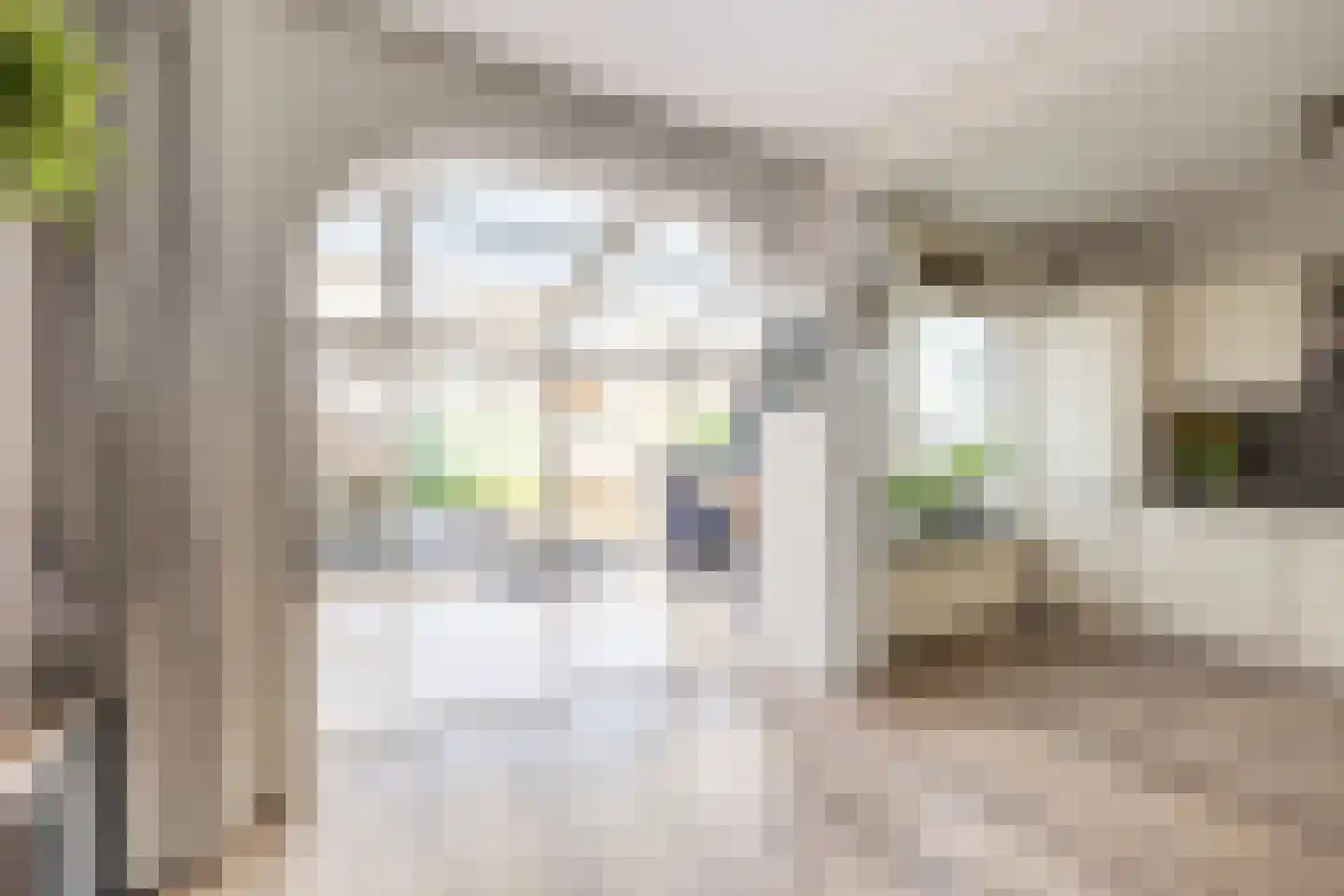 Rode Zee 9 Zaandam thumbnail 14