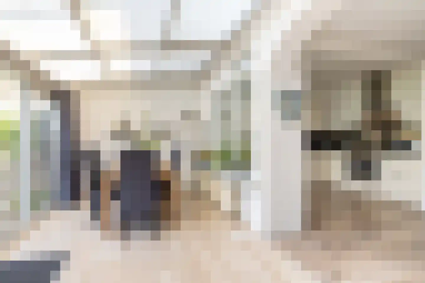 Rode Zee 9 Zaandam thumbnail 18