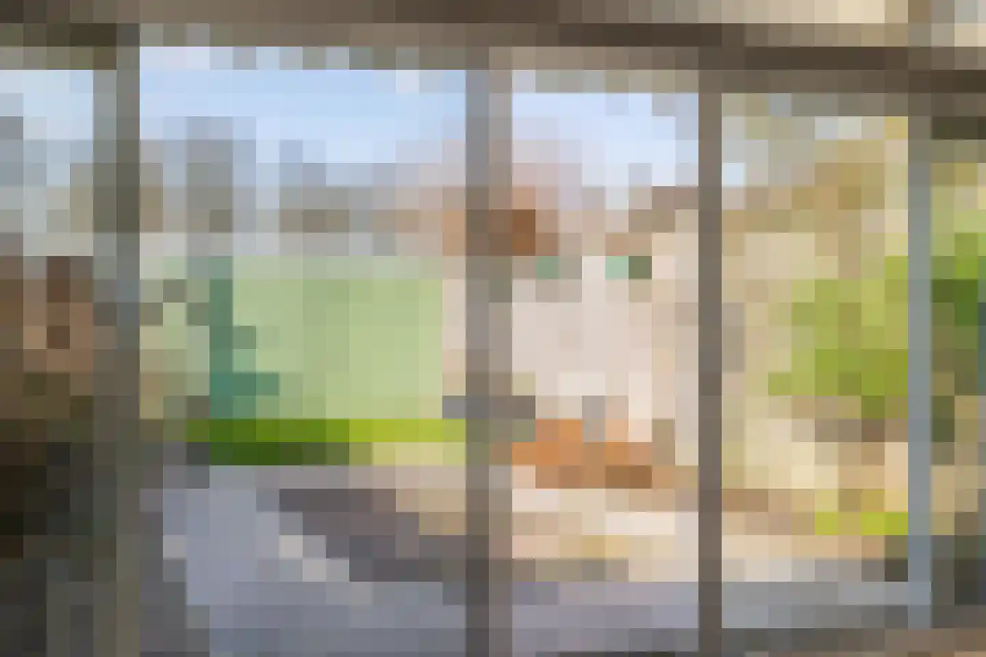 Rode Zee 9 Zaandam thumbnail 21
