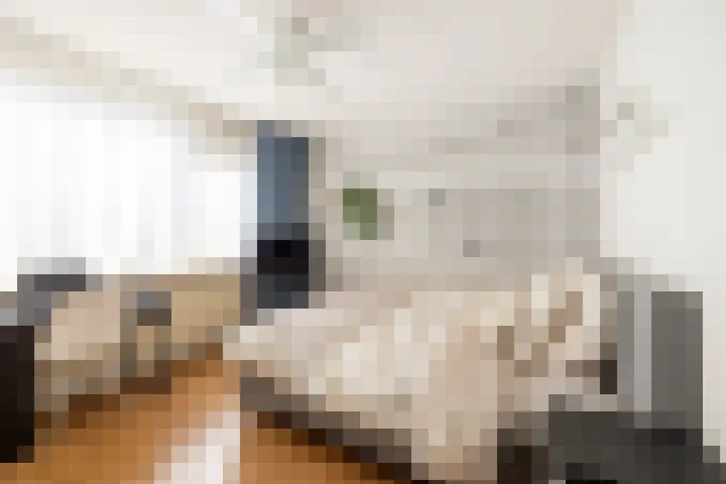 Rode Zee 9 Zaandam thumbnail 24