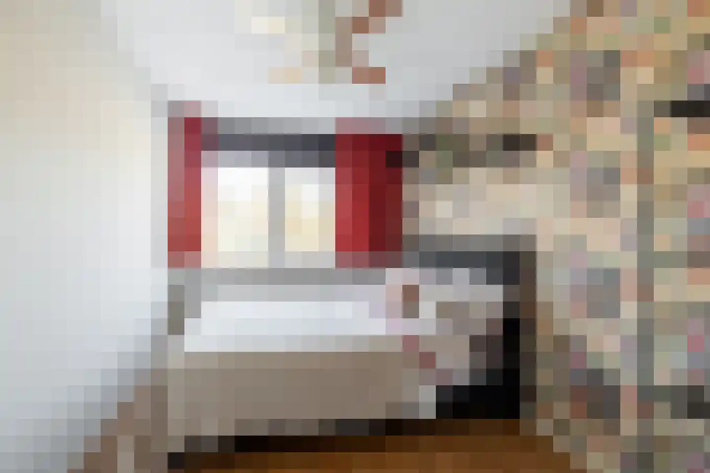 Rode Zee 9 Zaandam thumbnail 29