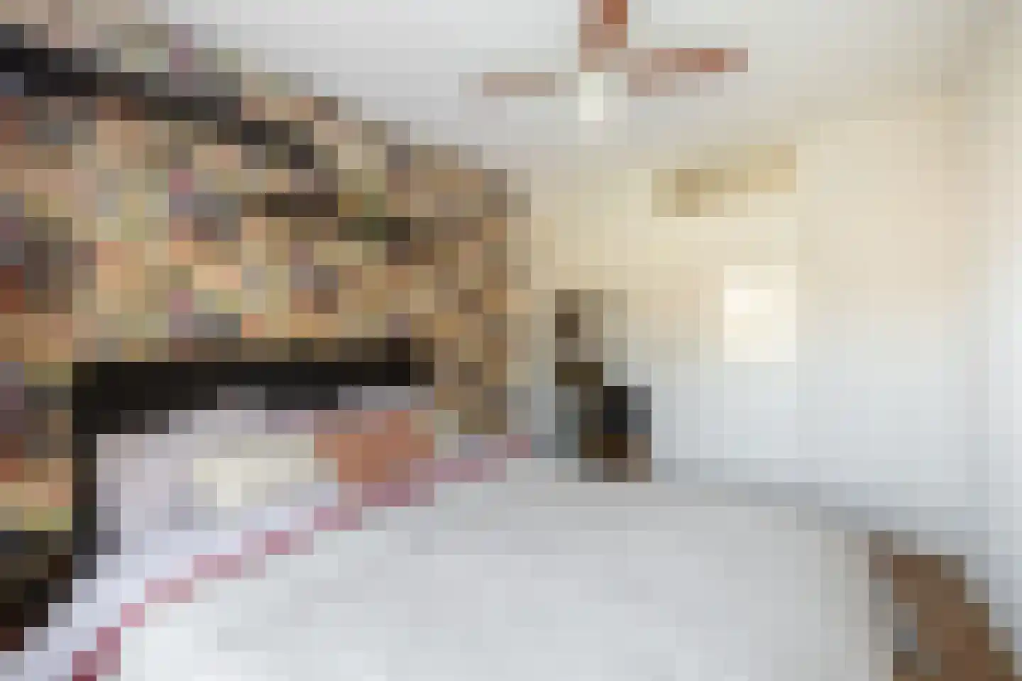 Rode Zee 9 Zaandam thumbnail 30
