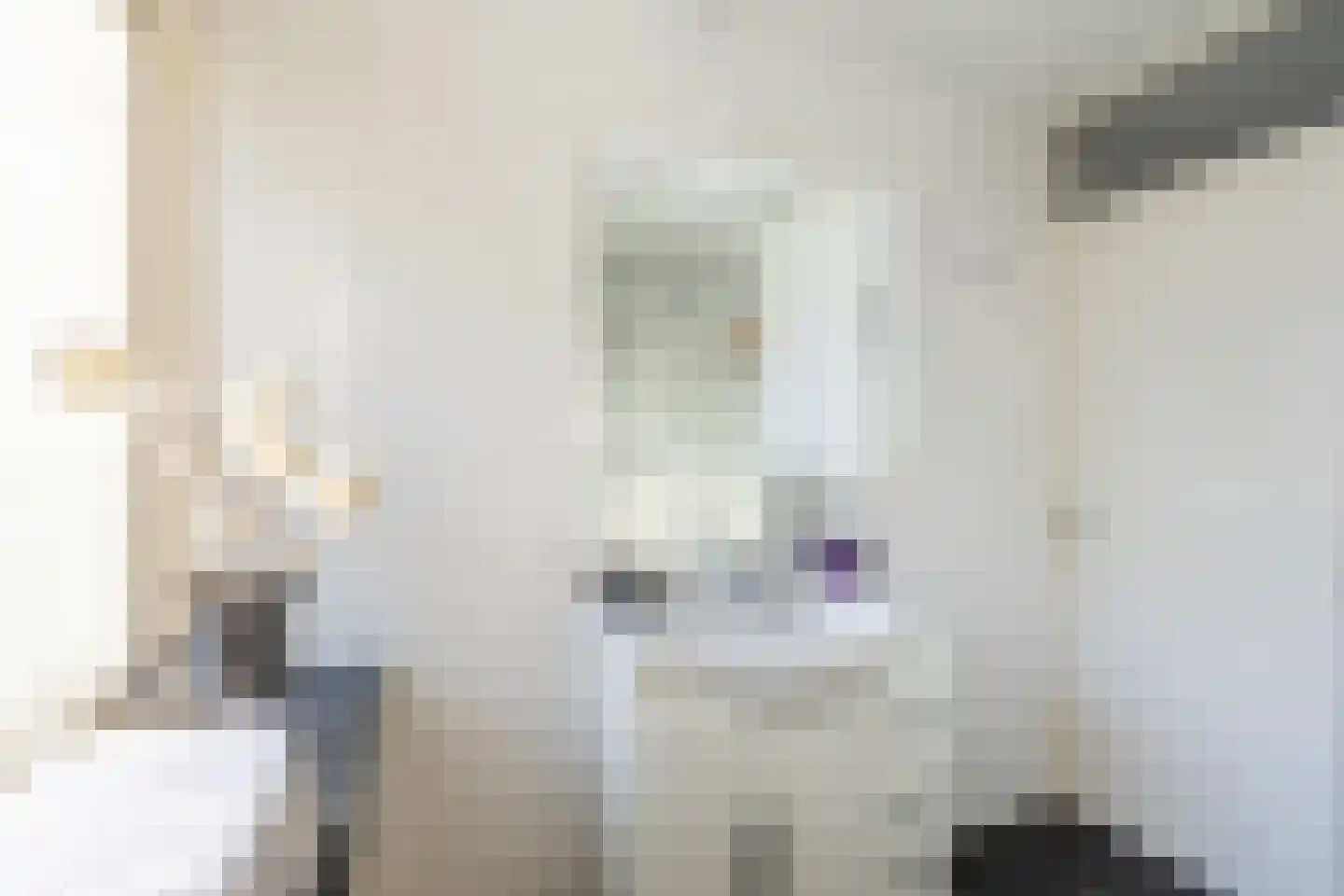 Rode Zee 9 Zaandam thumbnail 32