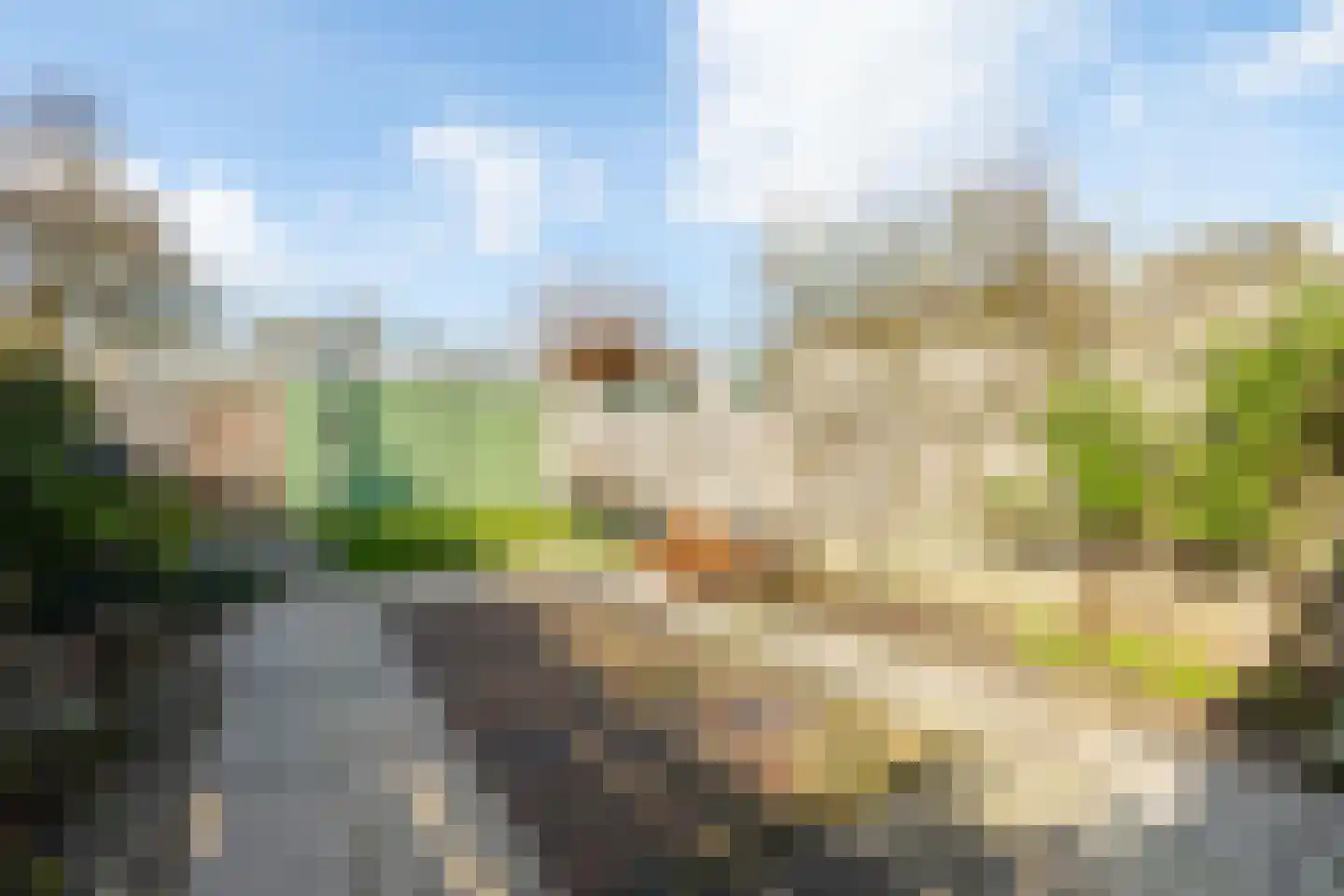 Rode Zee 9 Zaandam thumbnail 37