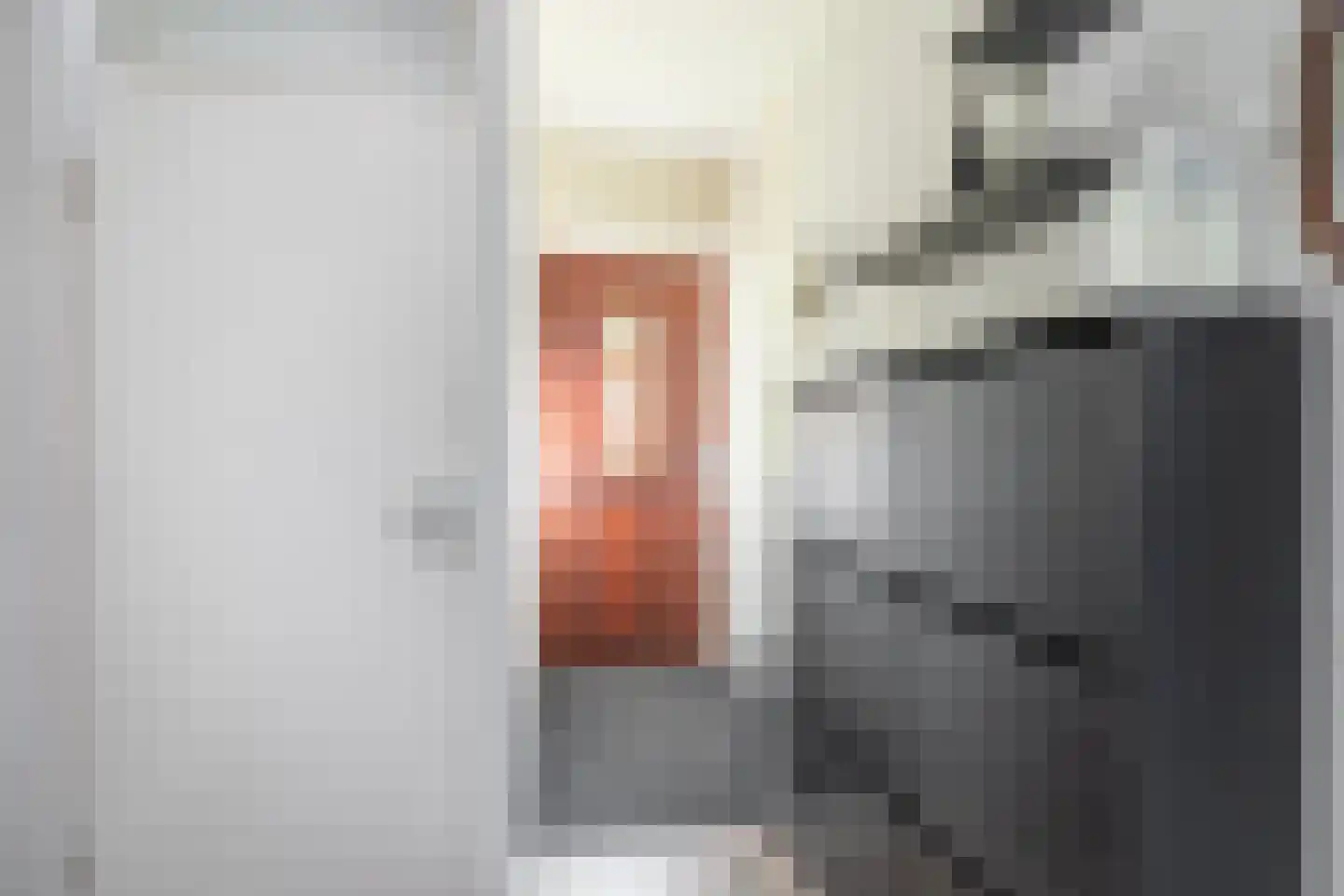 Rode Zee 9 Zaandam thumbnail 7