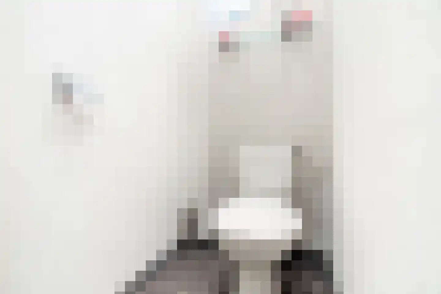 Rode Zee 9 Zaandam thumbnail 8