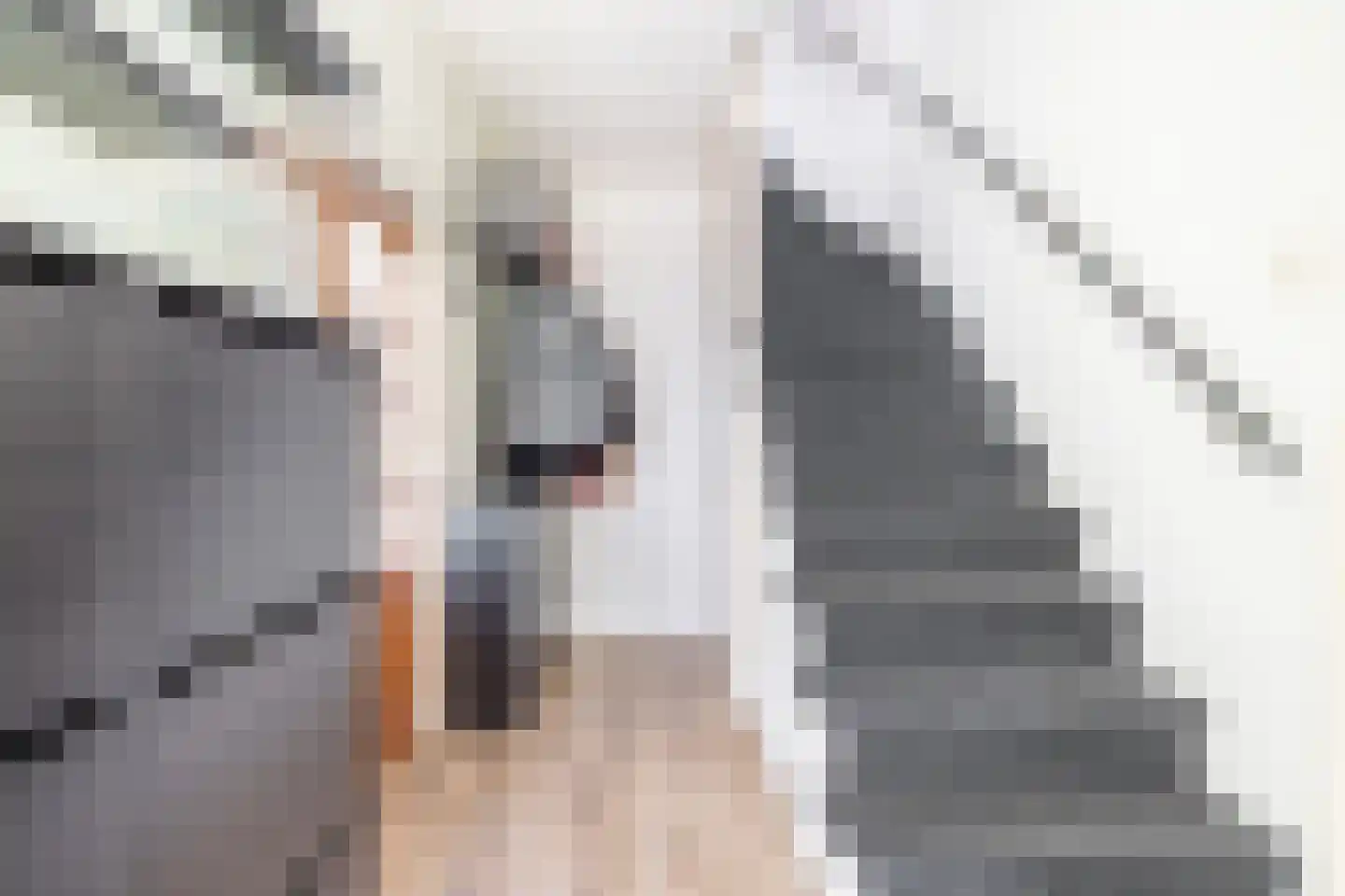 Rode Zee 9 Zaandam thumbnail 9