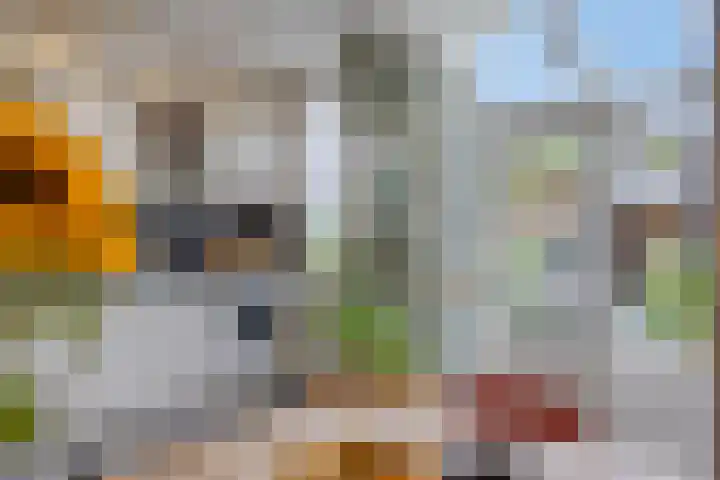 Rodedorp 26 Zierikzee thumbnail 10