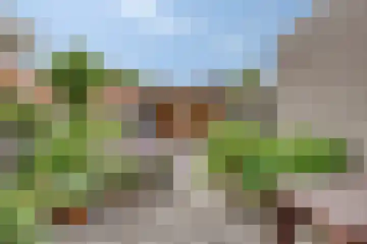 Rodedorp 26 Zierikzee thumbnail 4