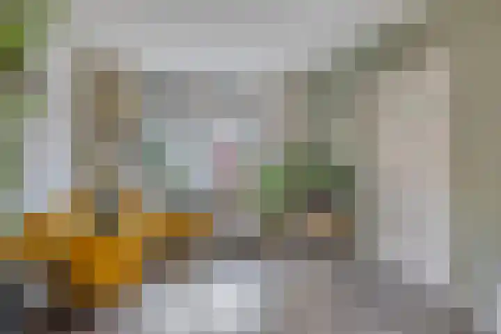 Rodedorp 26 Zierikzee thumbnail 6